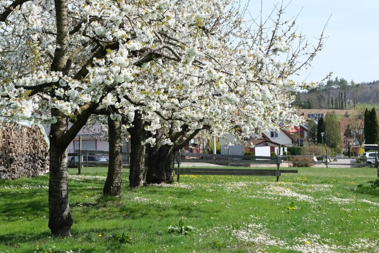 Ferienhof Schwehr Salem  Bagian luar foto